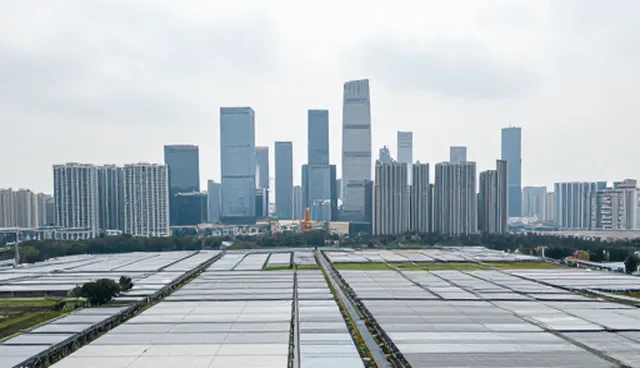 企业信息查询的适用条件及选择依据